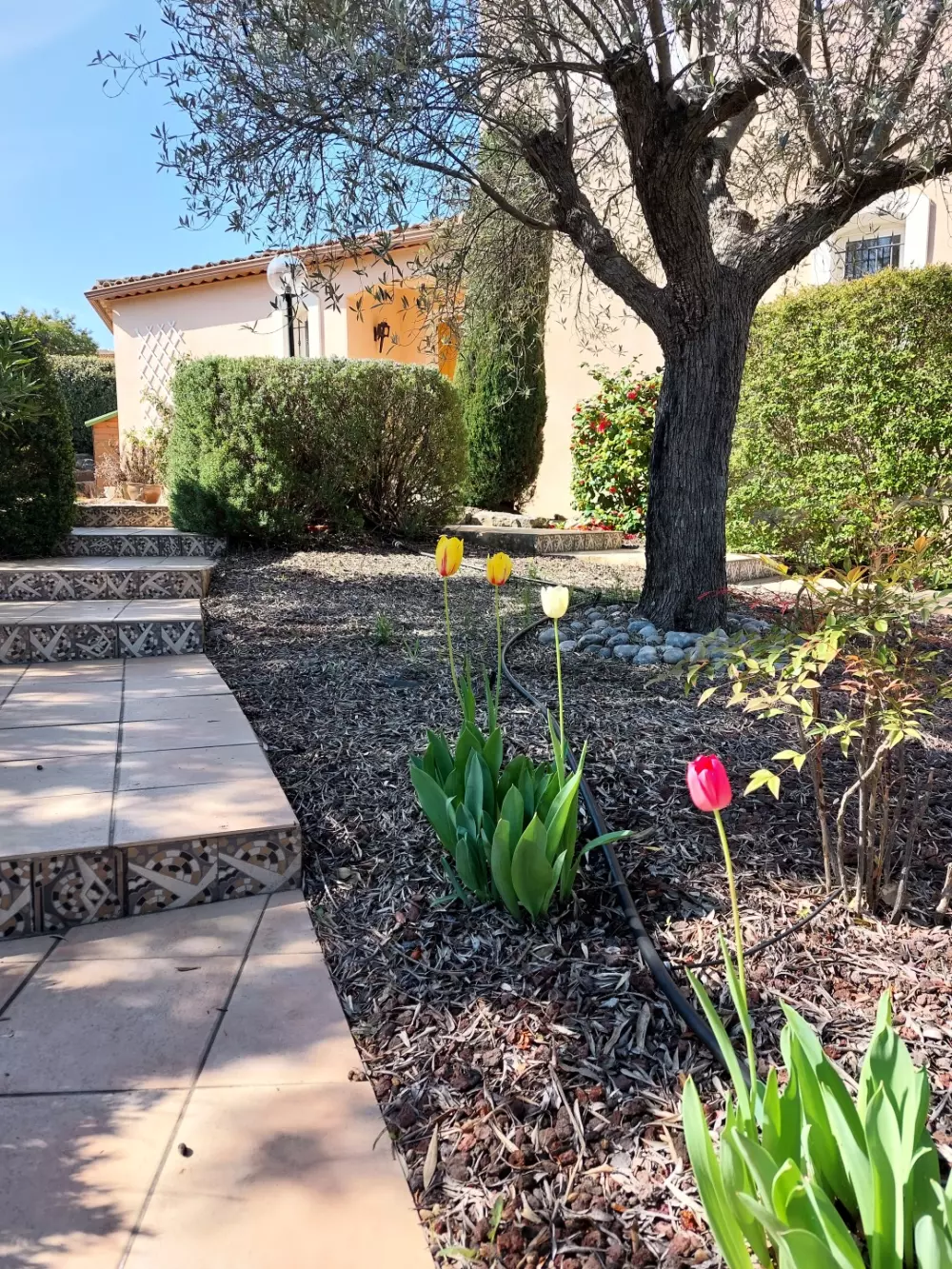 Résidence Parc Golf Esterel - maeva Home