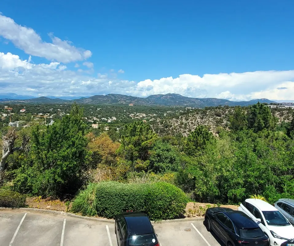 Spacieux T4 Vues Mer Et Massif De L'estérel