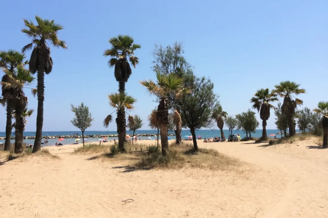 Superbe Appt Avec Balcon Proche De La Plage