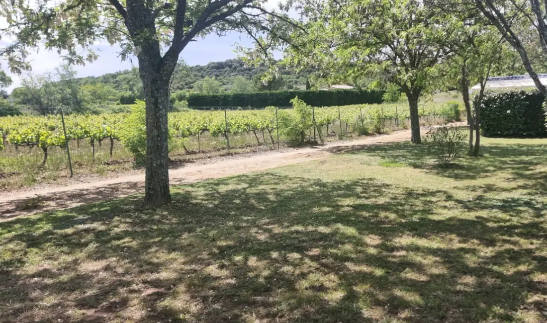 Camping Carrefour de l'Ardèche 3 étoiles★★★