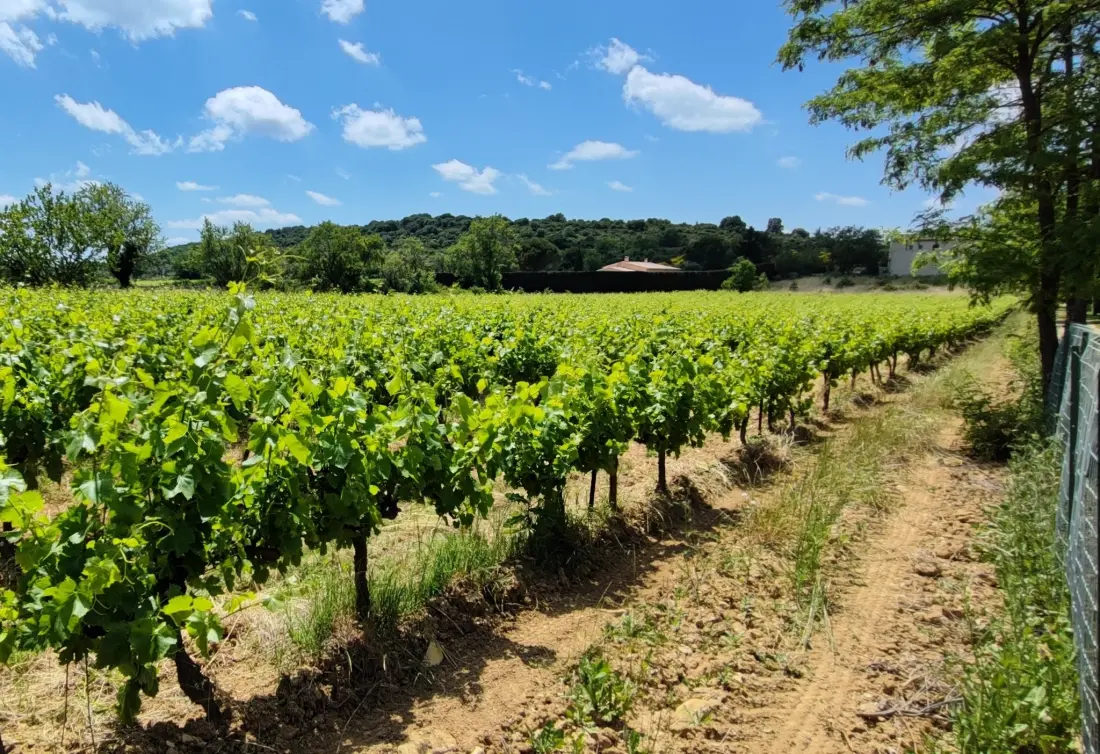 Camping Carrefour de l'Ardèche 3 étoiles★★★