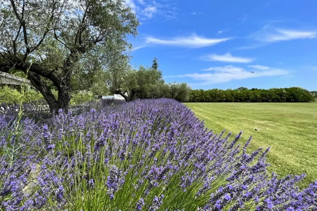 Mas De Panière - Saint Remy De Provence