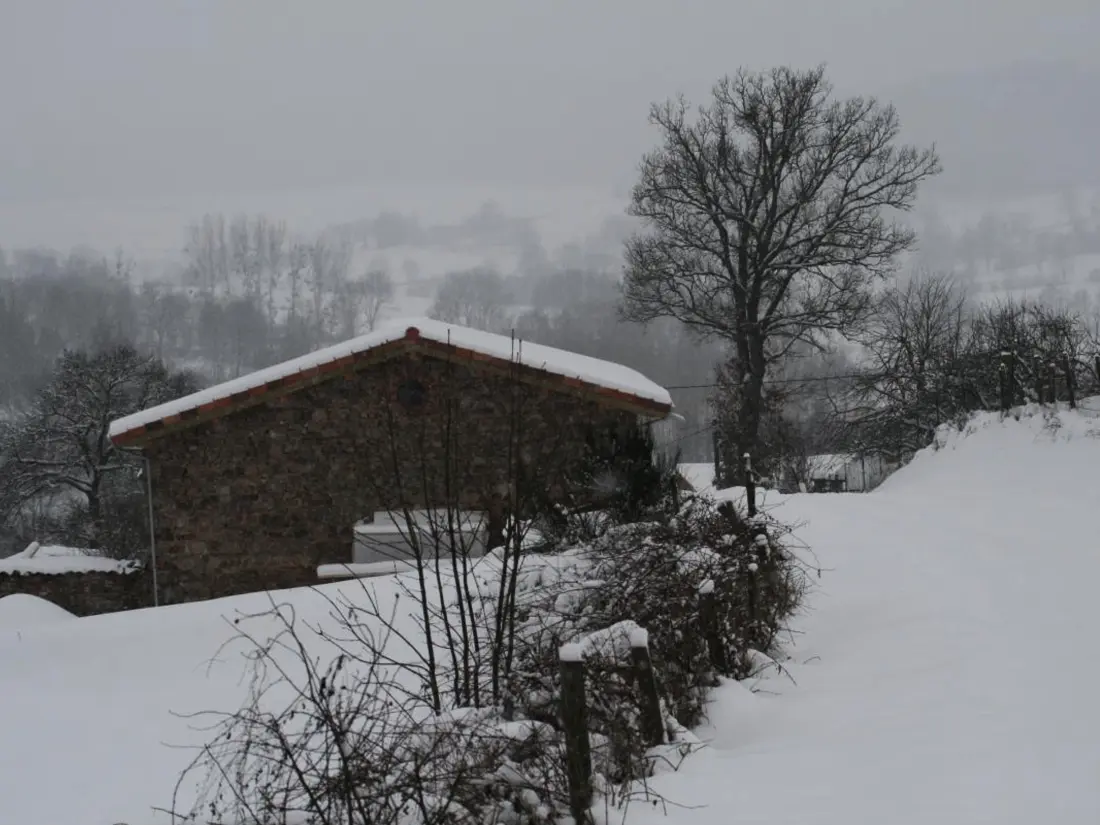 Maison de Vacances SAINT-ROMAIN-D'URFE 4