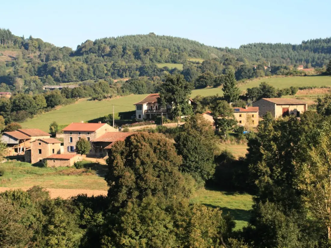 Maison de Vacances SAINT-ROMAIN-D'URFE 4
