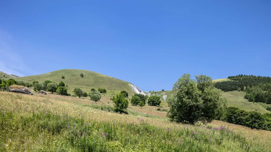 Appartements à Saint-Sorlin-d'Arves
