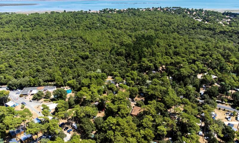 Flower Camping Monplaisir **** - Saint Trojan Les Bains - 9