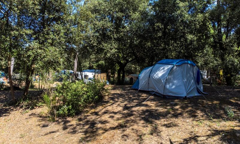 Flower Camping Monplaisir **** - Saint Trojan Les Bains - 10