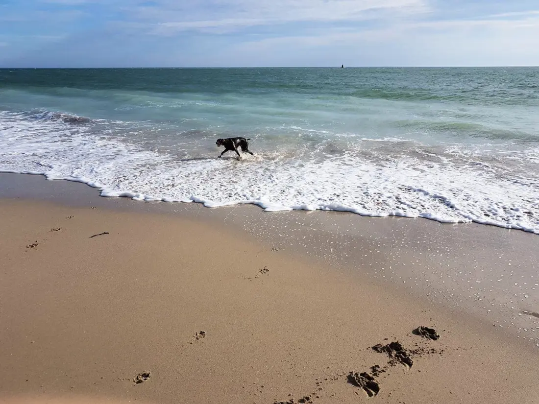 Location de Vacances Saint-Vaast-la-Hougue 11