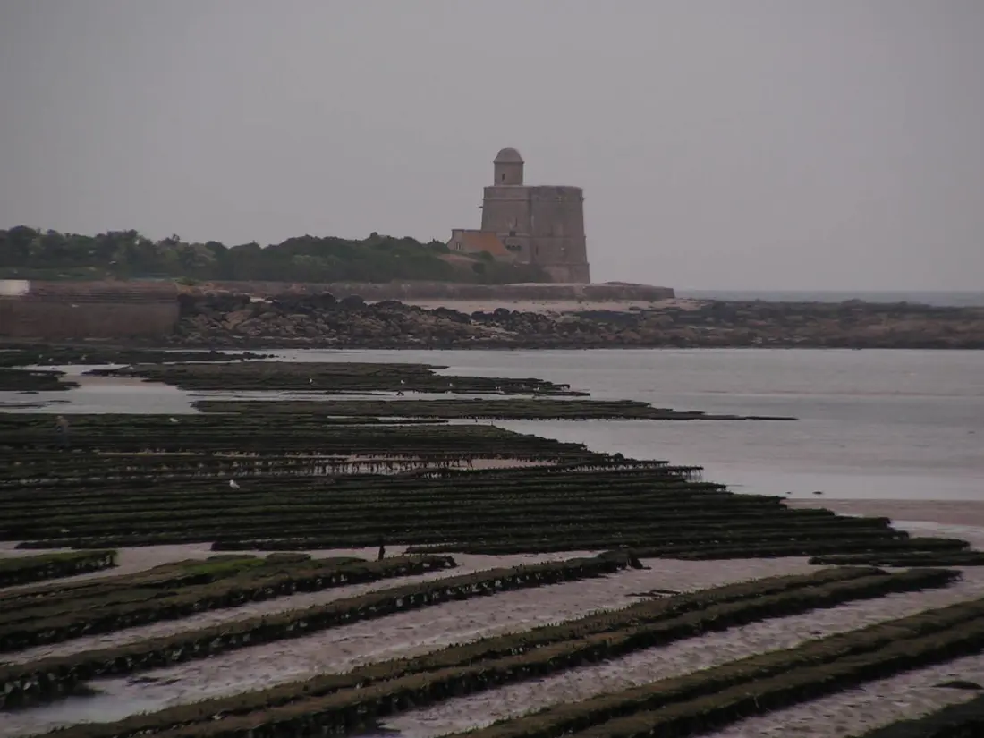 Location de Vacances Saint-Vaast-la-Hougue 11