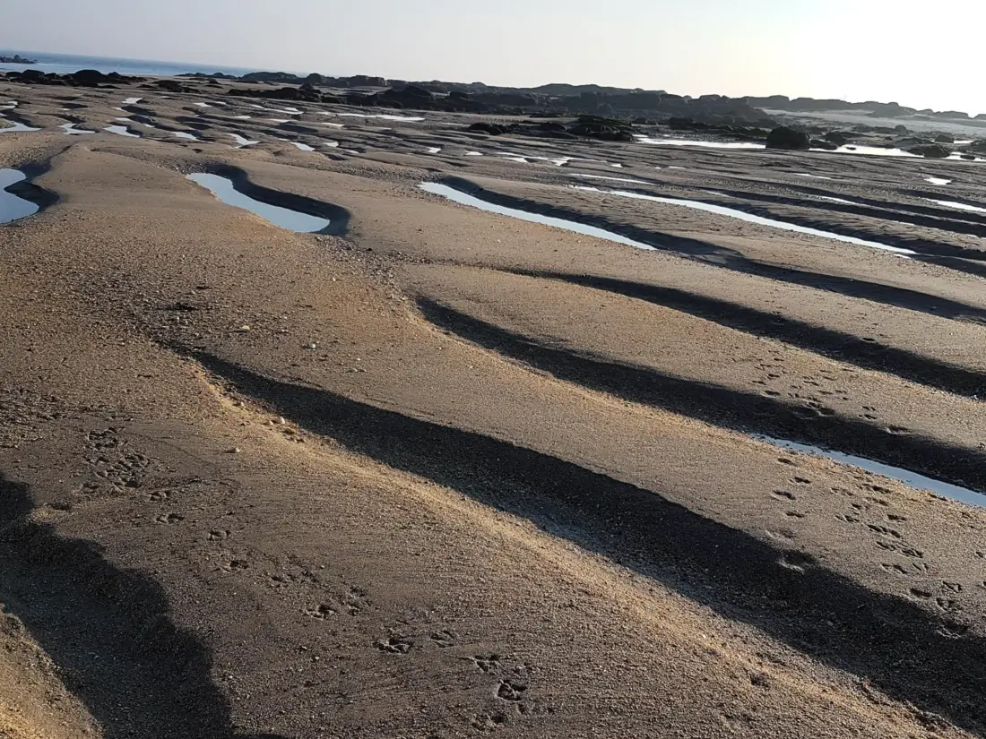 Location de Vacances Saint-Vaast-la-Hougue 11