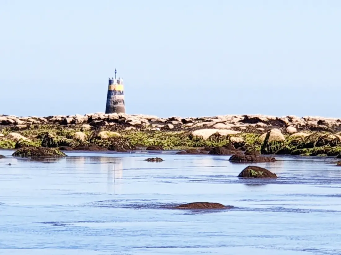 Location de Vacances Saint-Vaast-la-Hougue 11