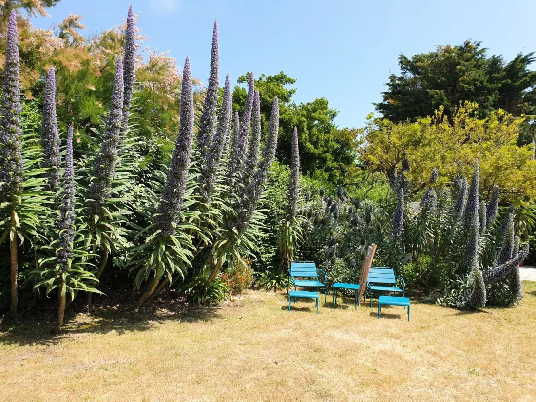 Location de Vacances Saint-Vaast-la-Hougue 11