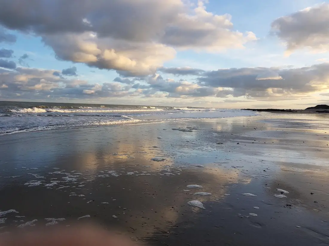 Location de Vacances Saint-Vaast-la-Hougue 11