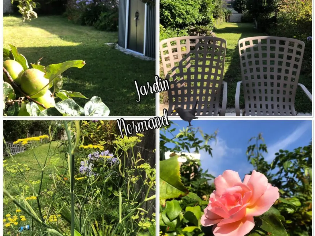 Maison de Vacances Saint-Vaast-la-Hougue 10