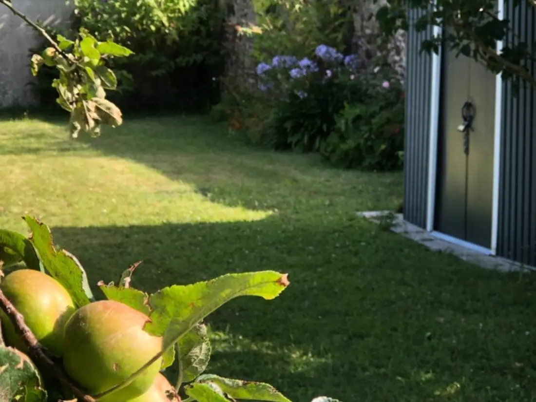 Maison de Vacances Saint-Vaast-la-Hougue 10