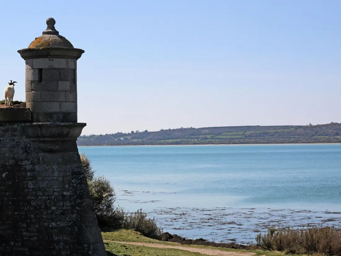 Maison de Vacances Saint-Vaast-la-Hougue 7