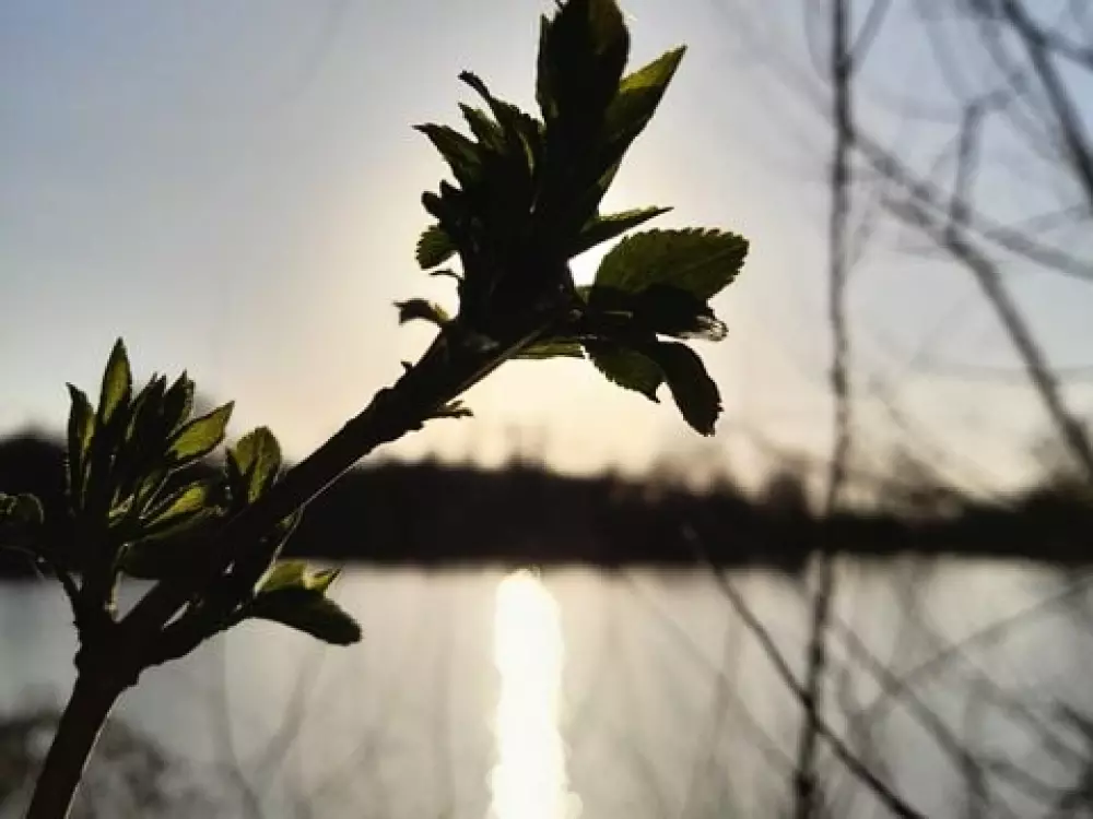 Camping Les Rulières 3 étoiles★★★