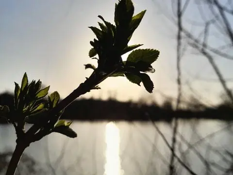 Camping Les Rulières 3 étoiles★★★