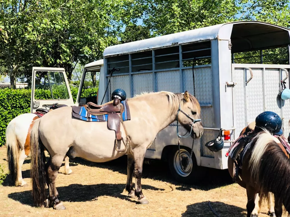 Chadotel La Bolée d'Air 4 étoiles★★★★