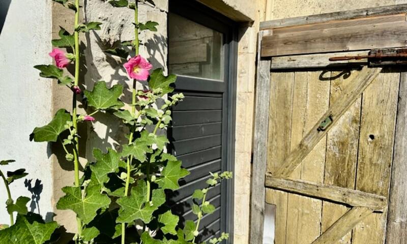 Studio Pour Deux De 25 M² à Saint-xandre - - Saint Xandre - 8