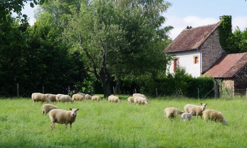 Gîte de France Le tilleul et la noisetière 3 épis - - Saint-Yrieix-la-Perche - 48