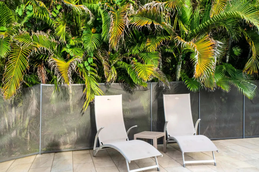 Bungalow Kaz Orchidée Vanda