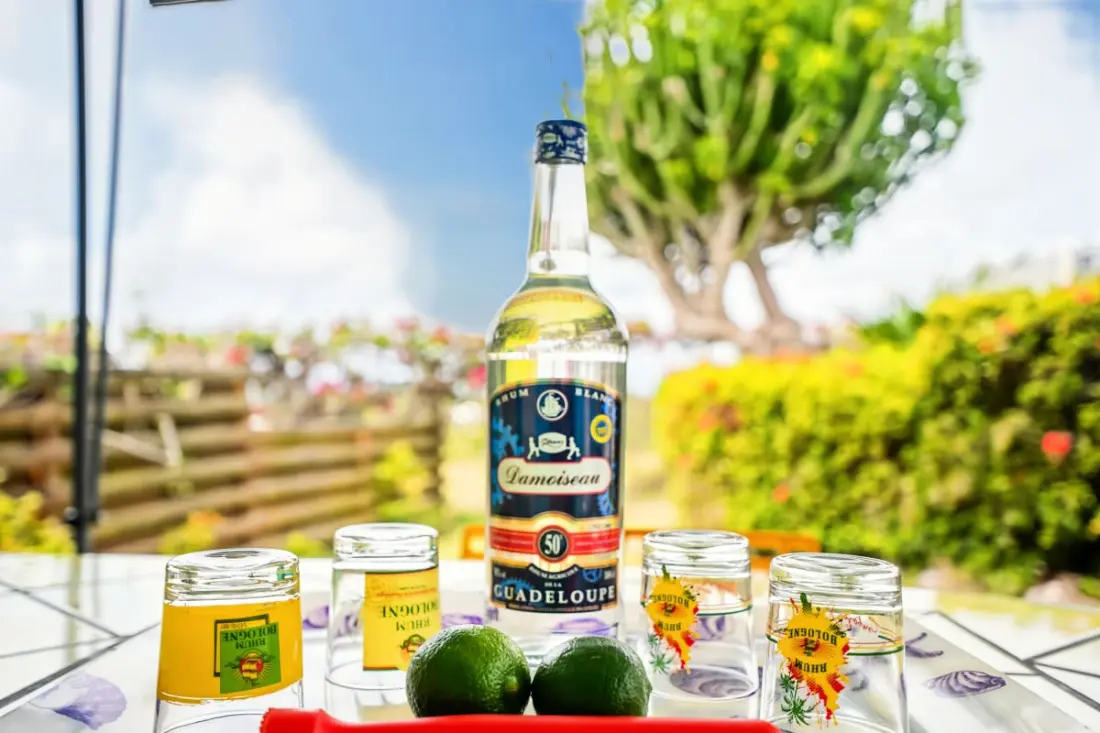 Bungalow Le Raisinier