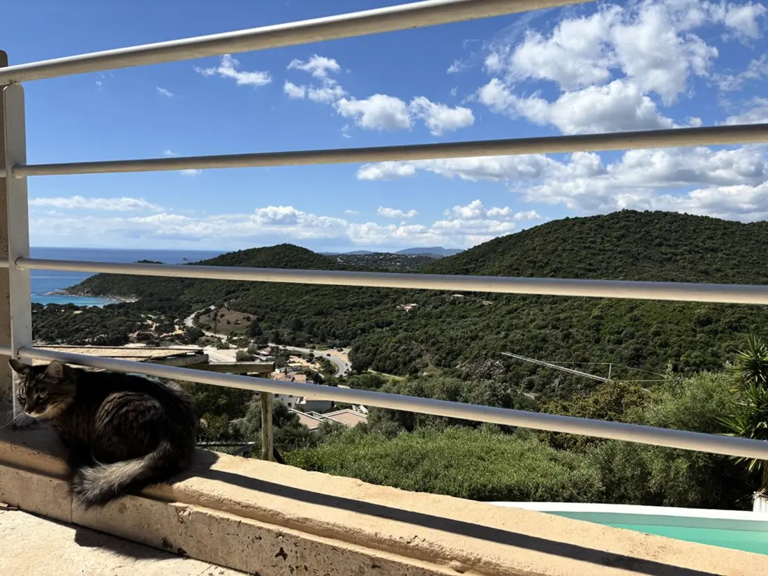 Location de Vacances Sainte Lucie de Porto Vecchio 6