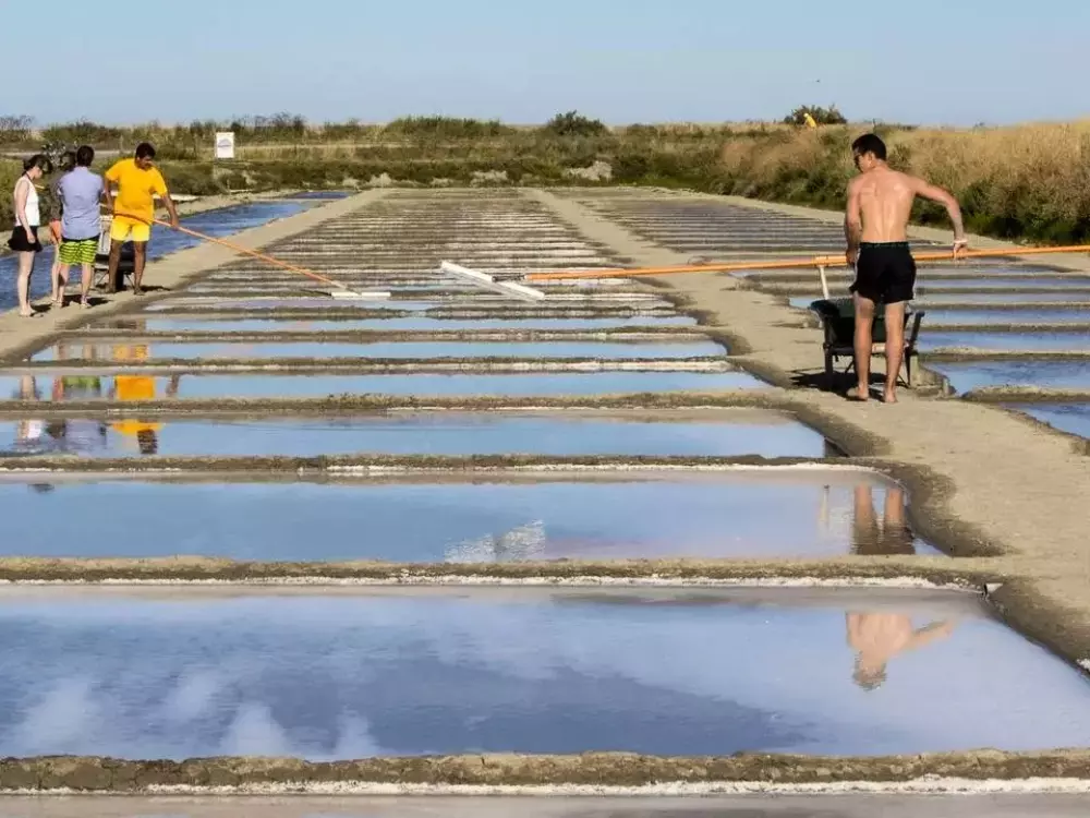 Camping Les Grenettes 5 étoiles★★★★★