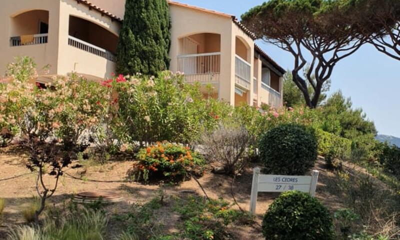 Bel Appartement Avec Piscine à Sainte-maxime - - Sainte-Maxime - 8