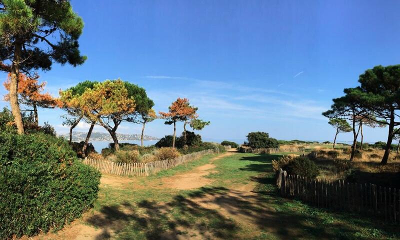 France - Côte d'Azur - Sainte Maxime - Résidence Domaine Du Preconil