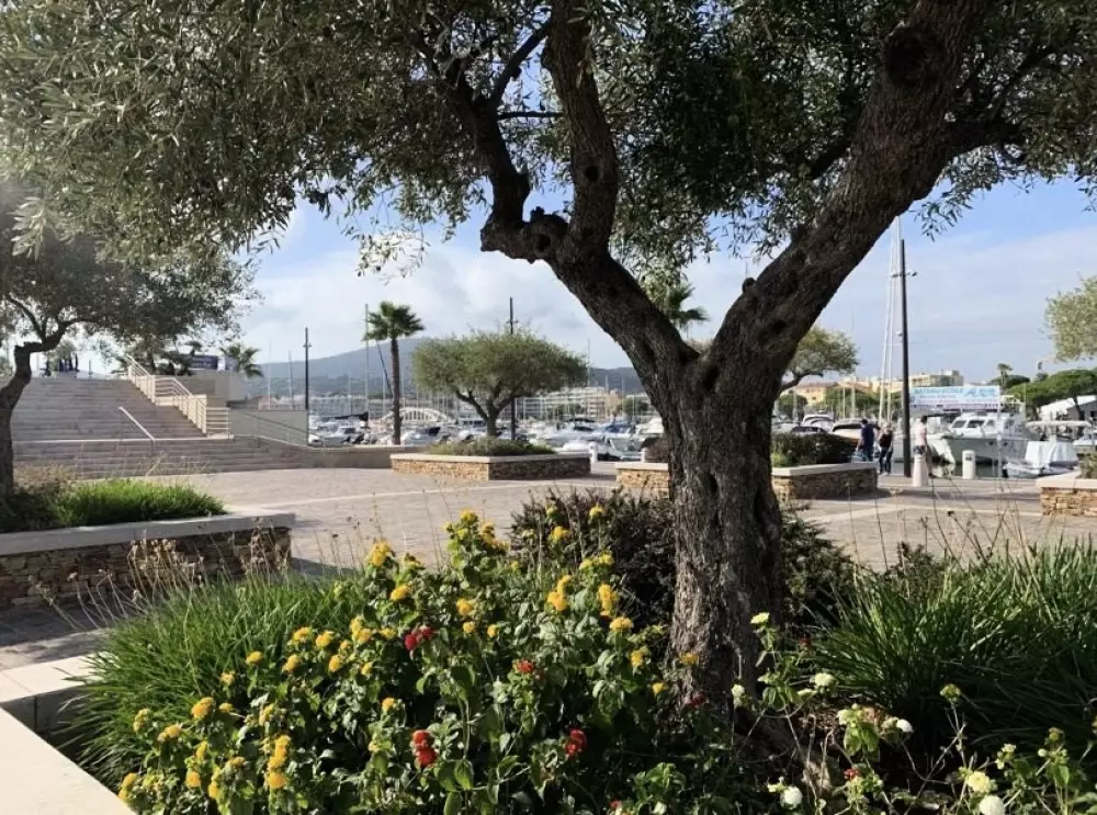 Résidence Domaine Du Preconil