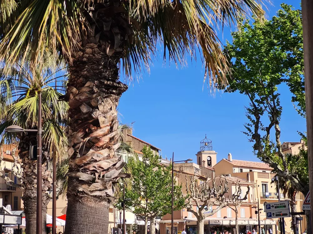 Résidence Domaine Du Preconil