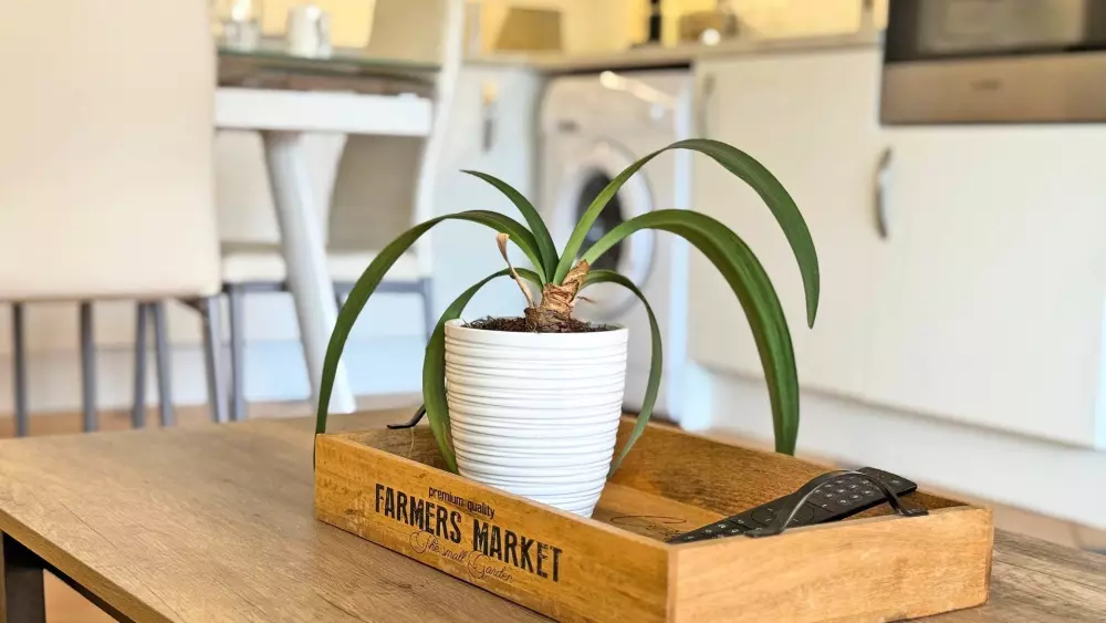 Résidence Port Marine