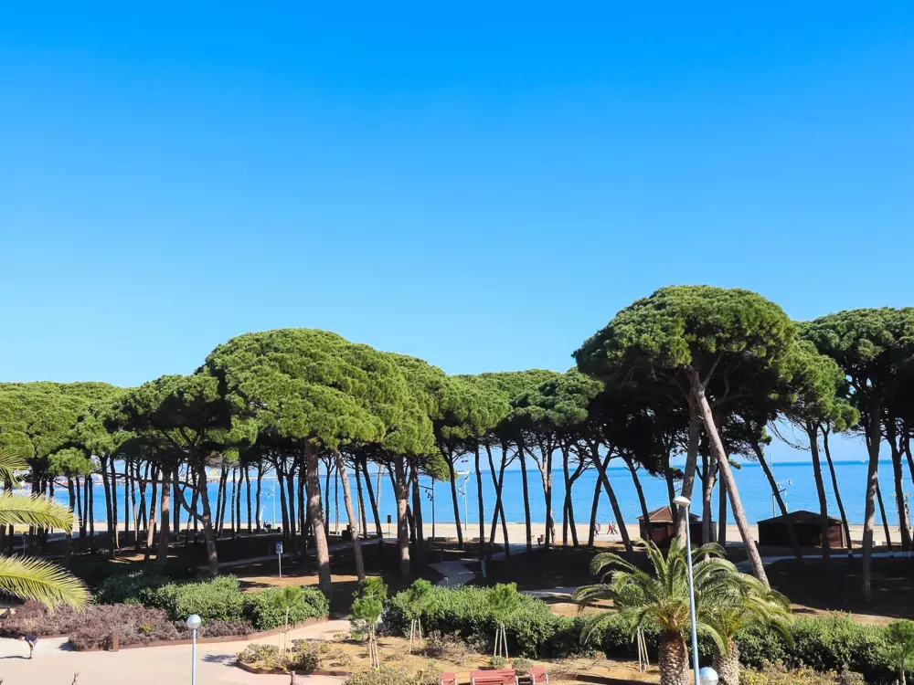 Location de Vacances Salou 385