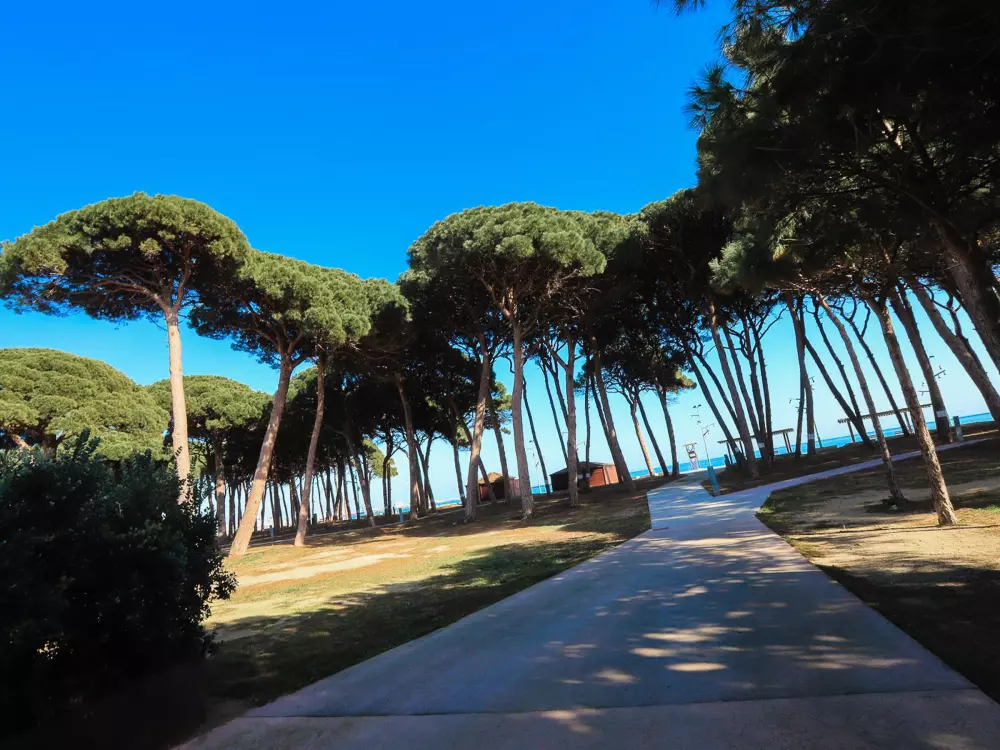 Location de Vacances Salou 385