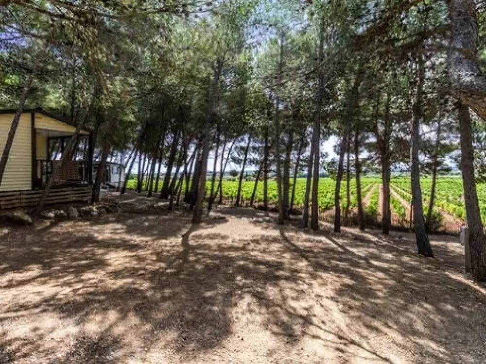 Camping Le Bois De Pins 3 étoiles★★★