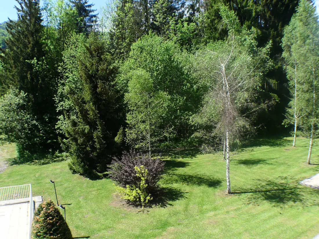 Location de Vacances Samoëns 238