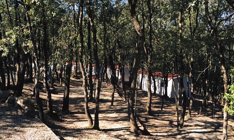 Camping Boschetto di Piemma *** - San Gimignano - 7