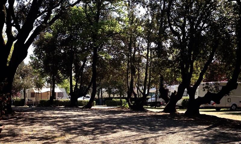 Camping Boschetto di Piemma *** - San Gimignano - 8