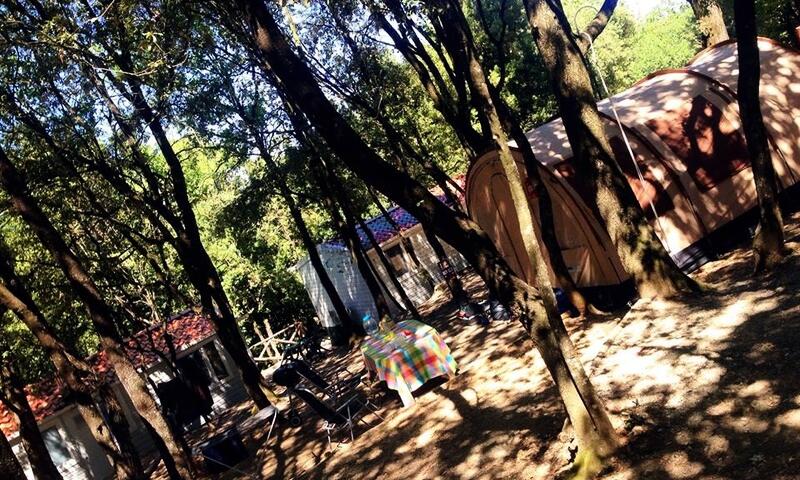 Camping Boschetto di Piemma *** - San Gimignano - 9