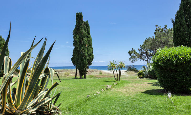 Appartements à San Nicolao - - San Nicolao - 3