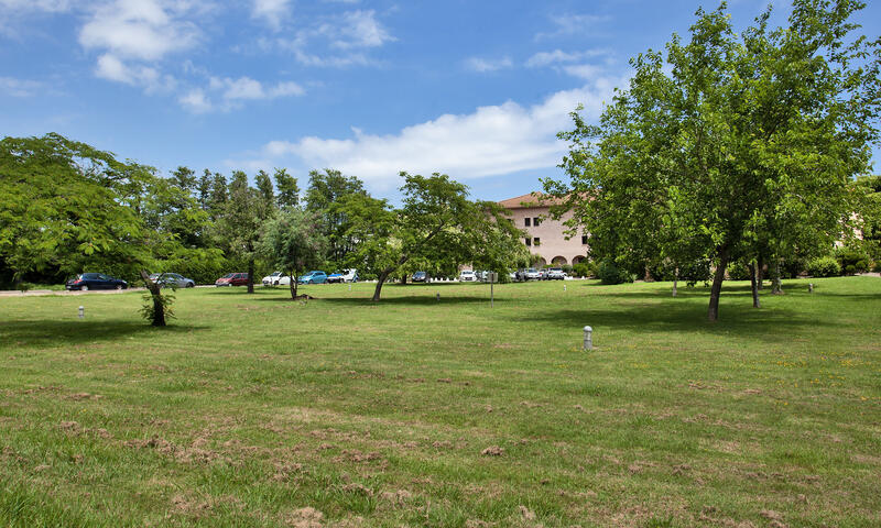 Appartements à San Nicolao - - San Nicolao - 24
