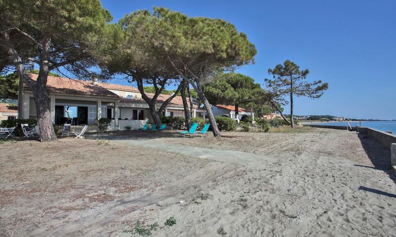 Maison à San Nicolao - - San Nicolao - 2