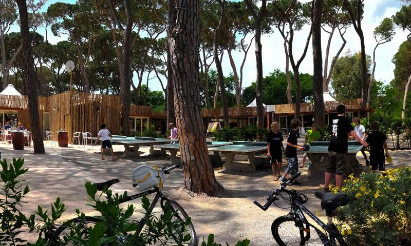 Camping Hu Park Albatros Village - San Vincenzo - 22