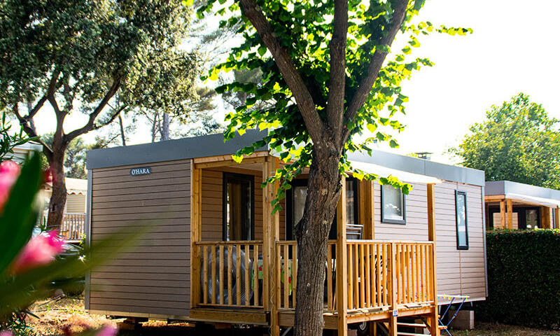 Campasun Camping Parc Mogador **** - Sanary-sur-Mer - 5
