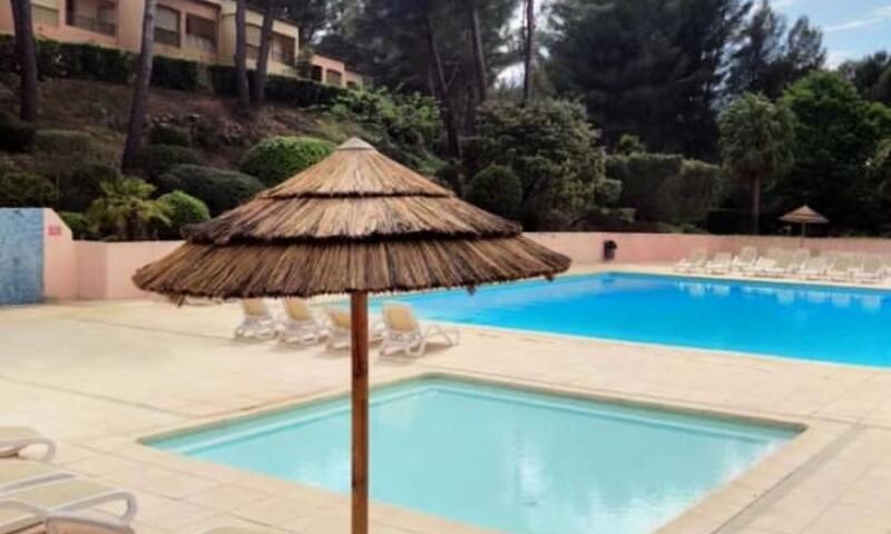 Appartement Avec Piscine Proche Plage - - Sanary-sur-Mer - 12