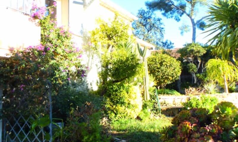 Villa De Charme Avec Jardin Et Piscine - - Sanary-sur-Mer - 39