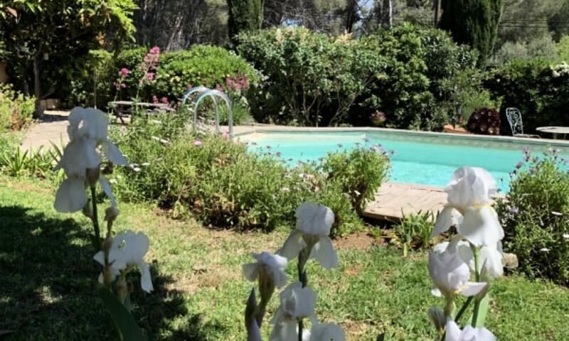 Villa De Charme Avec Jardin Et Piscine - - Sanary-sur-Mer - 38