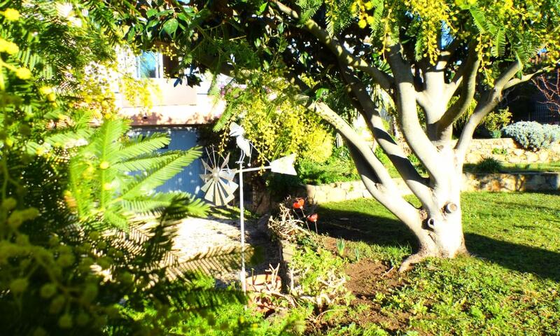 Villa De Charme Avec Jardin Et Piscine - - Sanary-sur-Mer - 33